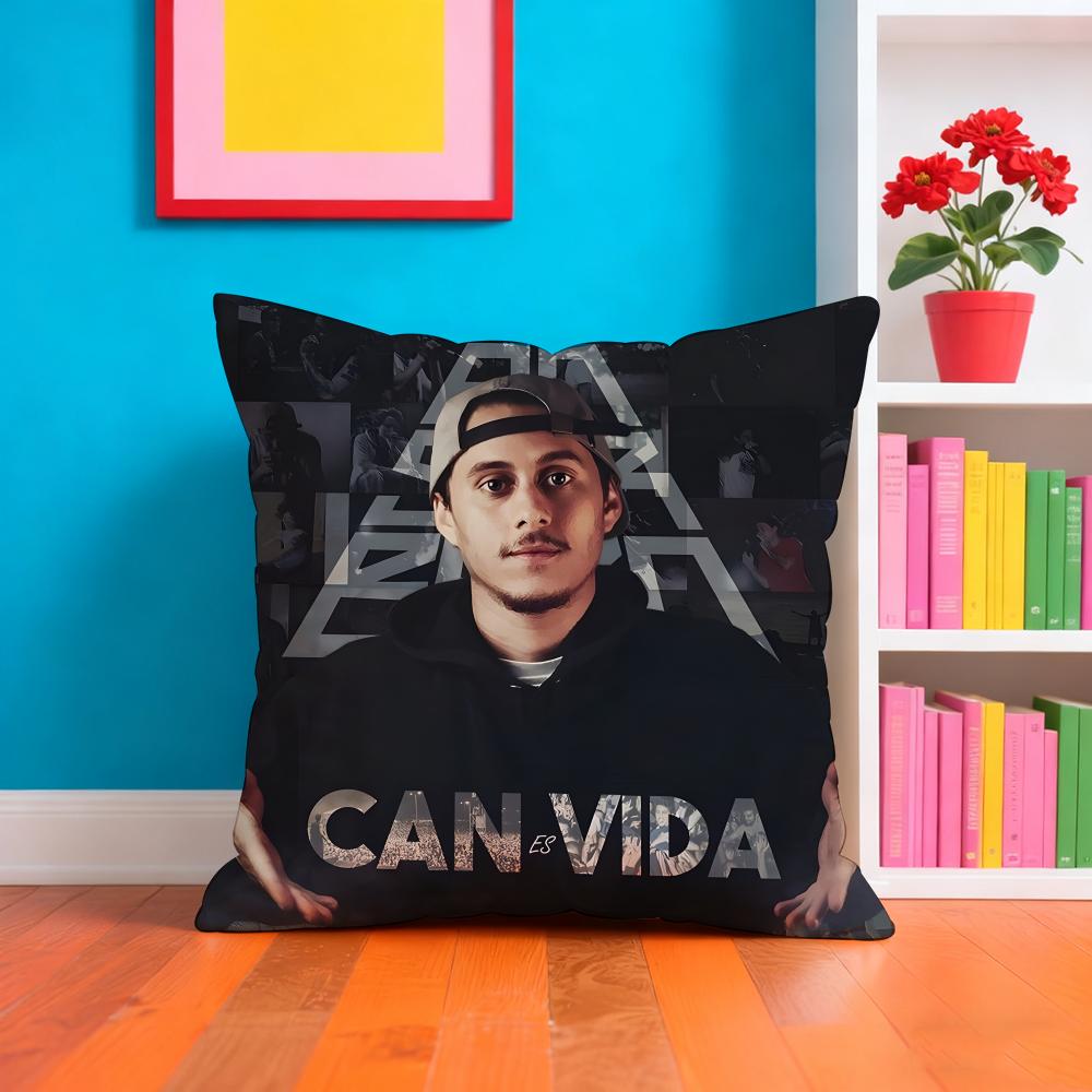 CCanserbero Singer Pillow Case Cushion Cover Soft EasyWash Pillow Case Versatile For Couch Bed Travel And Office