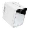 Mini Skincare Fridge with LED Mirror 3 Levels Dimmable 6L Cooler Warmer Portable Handle Makeup
