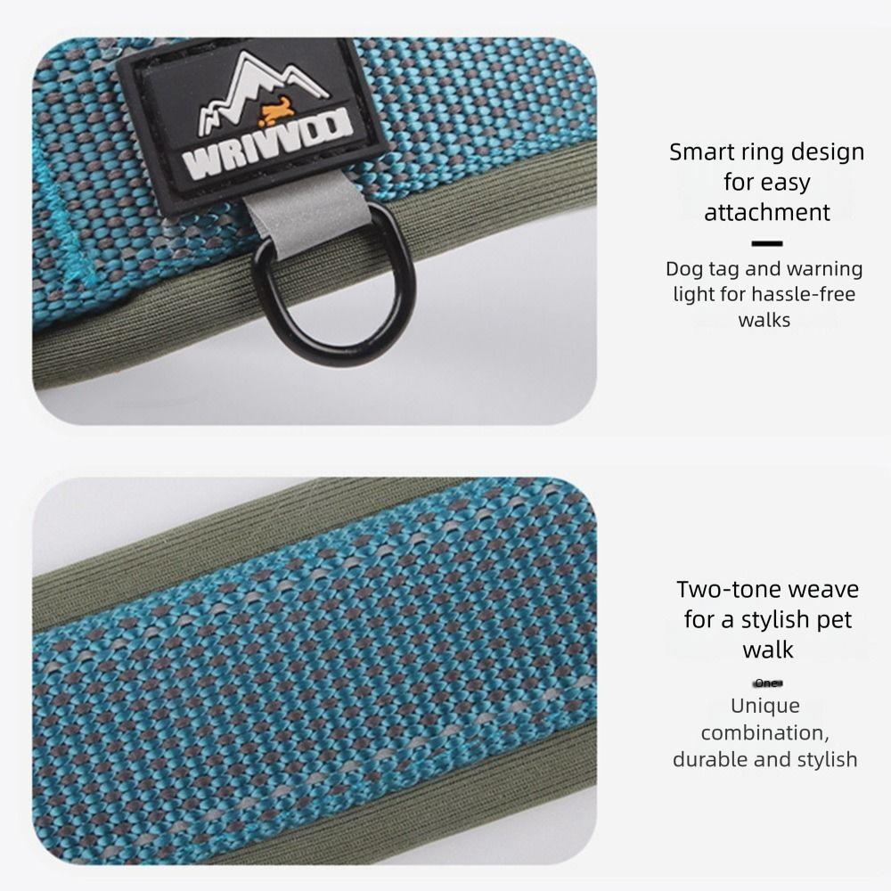 Elastic Webbing Pets Collar for Medium Large Dogs No Pull Dog Safety Buckle Chain  Pet Accessories