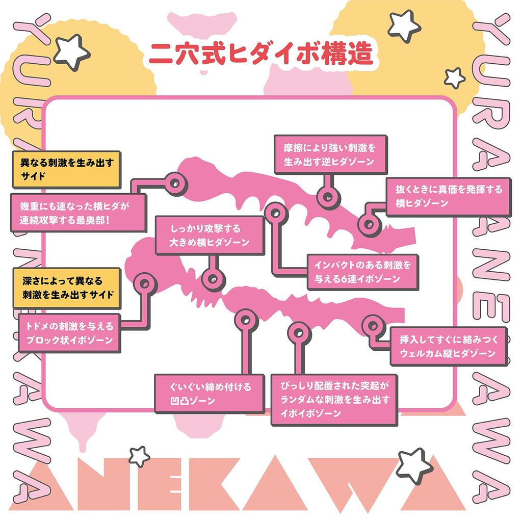 SSI JAPAN Взрослая система костей тела D Cup Юра Анегава (Отечественный бренд) +3D