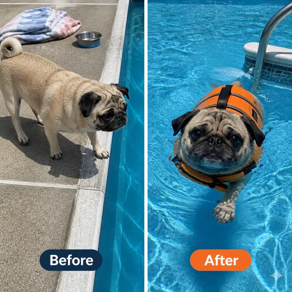 Dog Life Jacket with Chin Float, Front Float Vest with Chin Support for Swimming, Pool Boating