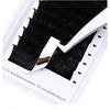 Wendy Lashes High Quality Supplier Natural Easy Fanning Volume Mega Eyelashes Extension Auto Flowering Rapid Blooming Fans Lash