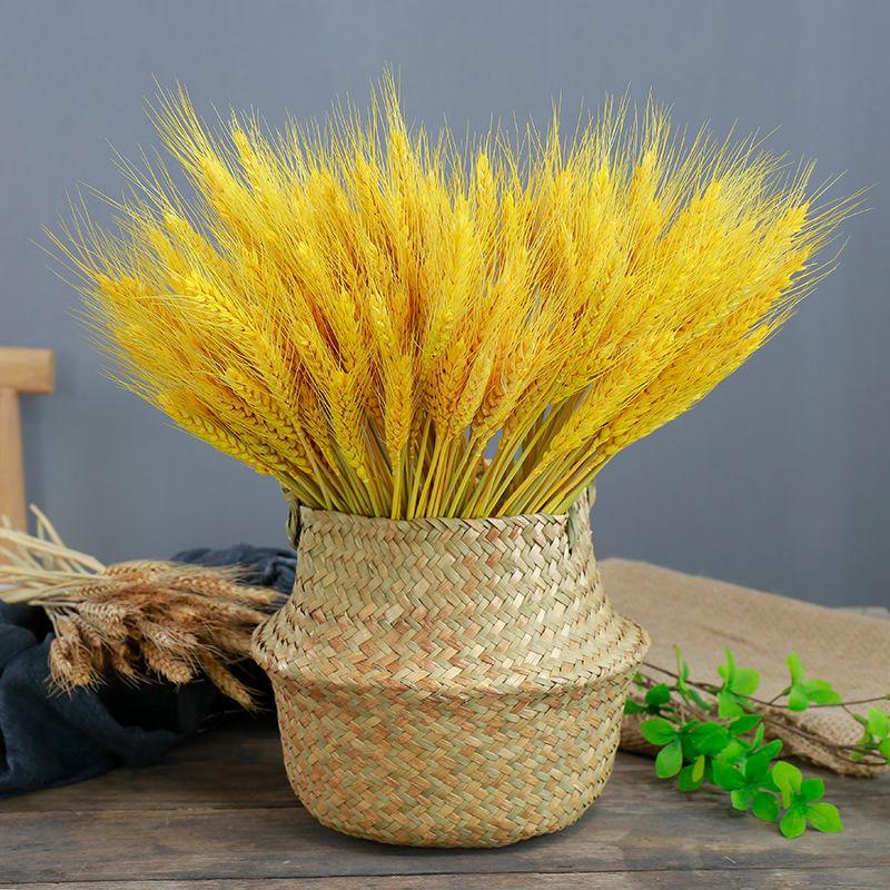 Golden Barley Dried Flower Display: Pastoral Décor & Performance Props