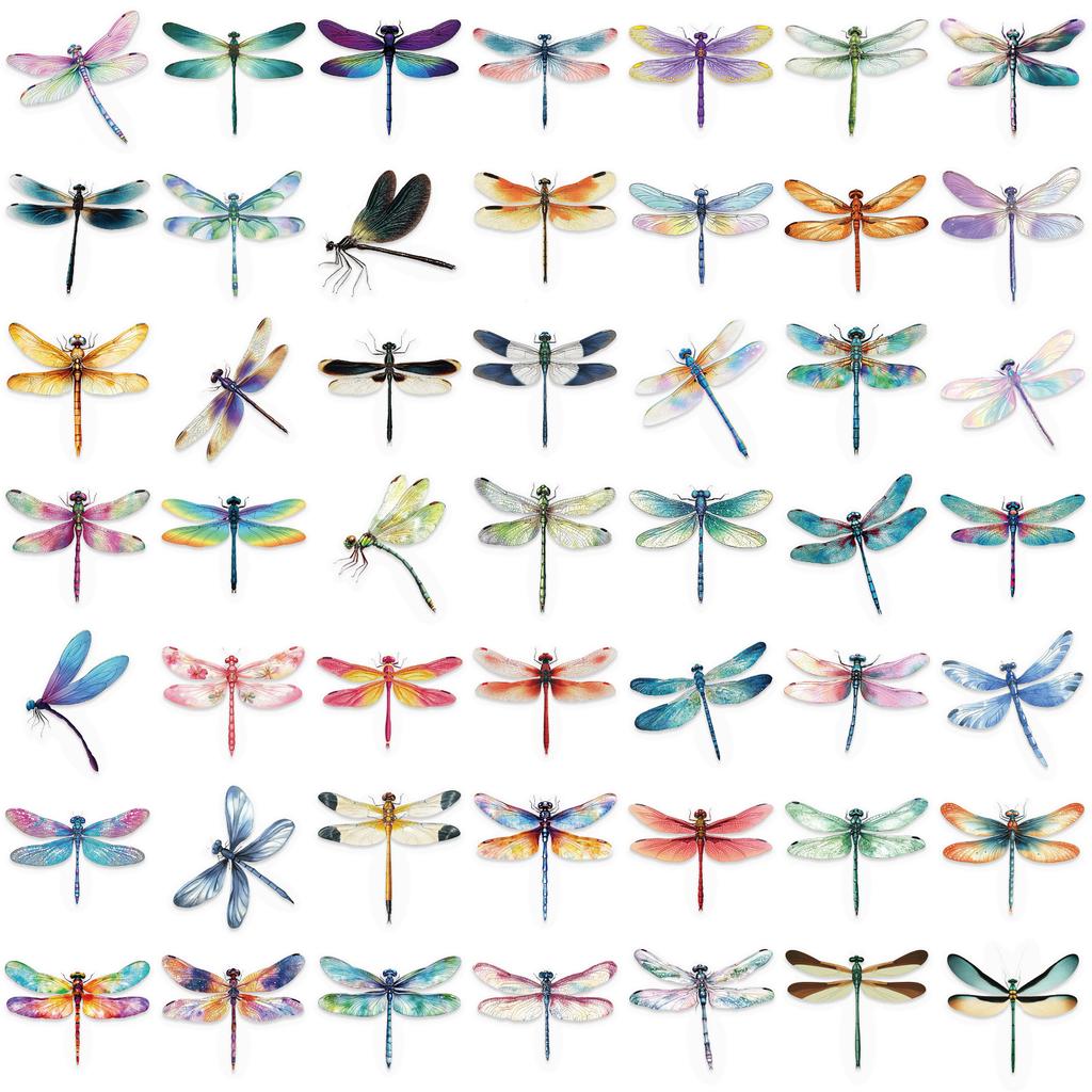 50 Transparent Cartoon Dragonfly Sticker Pack Waterproof Transparent PET Manual Material Decorative Guitar Notebook
