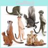 Pvc Realistic Mongoose Animal Model Toy For Kids Learning Gifts Decorations