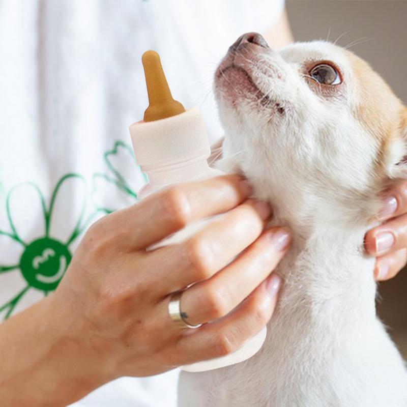 Набор бутылочек для кормления питомцев с кейсом для хранения, бутылочки для кормления котят, поилка для молока для щенков, для мелких животных, новорожденных собак и кошек