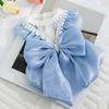 Spring Summer Dog Dress Streamer Big Bow Skirt Teddy Bigbear Puppy Cat Pet Summer Clothes