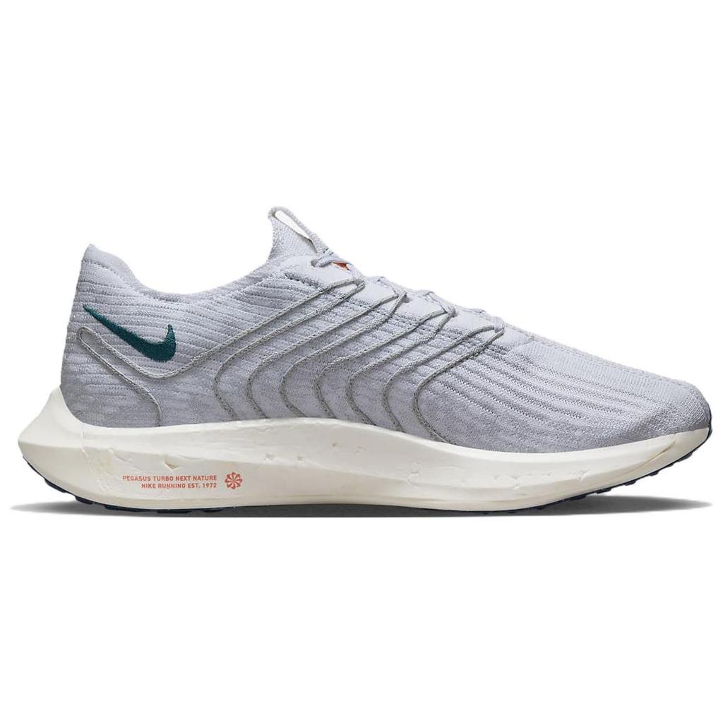 Nike Pegasus Turbo Next Nature Pure Platinum Bright Spruce мужские кроссовки серо-белые валериано-синие DM3413-004