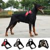 Pets Products for Large Dog Harness Glowing Led Collar Puppy Lead Pets