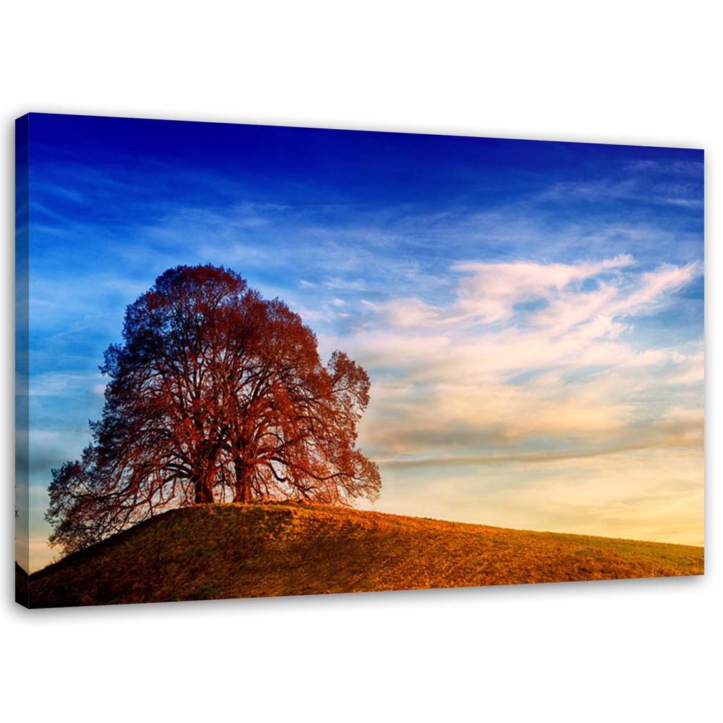 Canvas print, Tree on a hill landscape