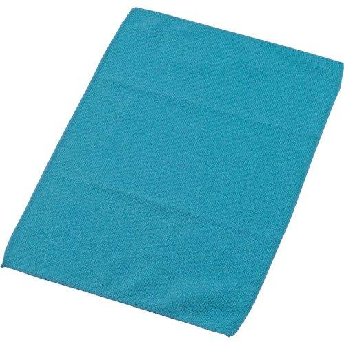 TERAMOTO EF Window Cleaner Micro Duster