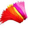 Beatiful 50Pcs Natural Cock Tail Feathers 25-40Cm / 10-16Inch Clothing Decoration Stage Performance Rooster Tail Feathers Plume