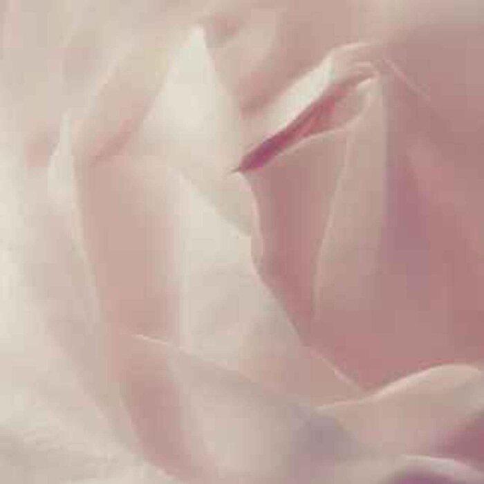 Blossom Blossom Cleansing Foam, Designed From The Uk