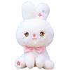 Eight Inch Star Rabbit Plush Toy Doll Cute Little White Rabbit Doll Little Rabbit Children's Birthday Gift