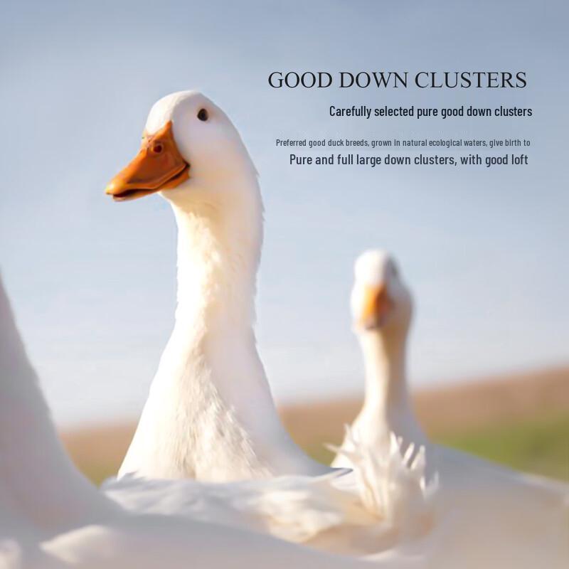 Mercury Home Textiles 90% White Duck Down Winter Quilt
