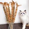 Интерактивная игрушка для кошек Деревянная дразнилка для кошек Игрушка для кошек Дразнилка с перьями для кошек С колокольчиком Игрушка для котят для самостоятельной игры Товары для домашних животных