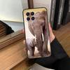 Чехол для телефона Elephant Baby Nature для Samsung Galaxy M13 M23 M33 M53 M21 M31 M51 M30s M20 M12 M32 M52 M14 M34 M54