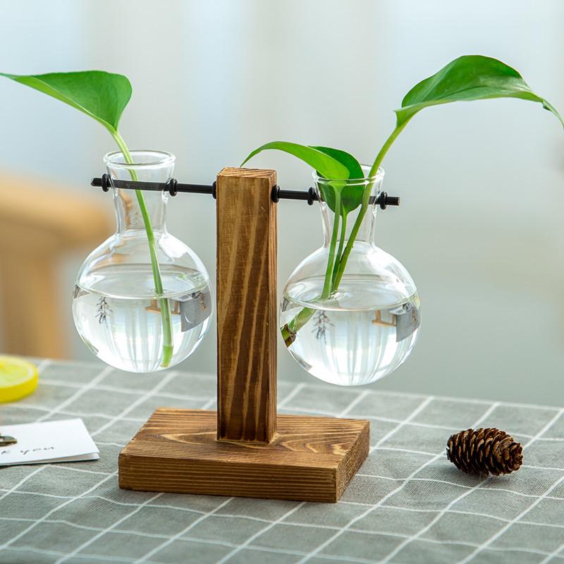 Minimalist Glass Vase with Wooden Stand for Pothos Plants – Hydroponic Desktop Ornament