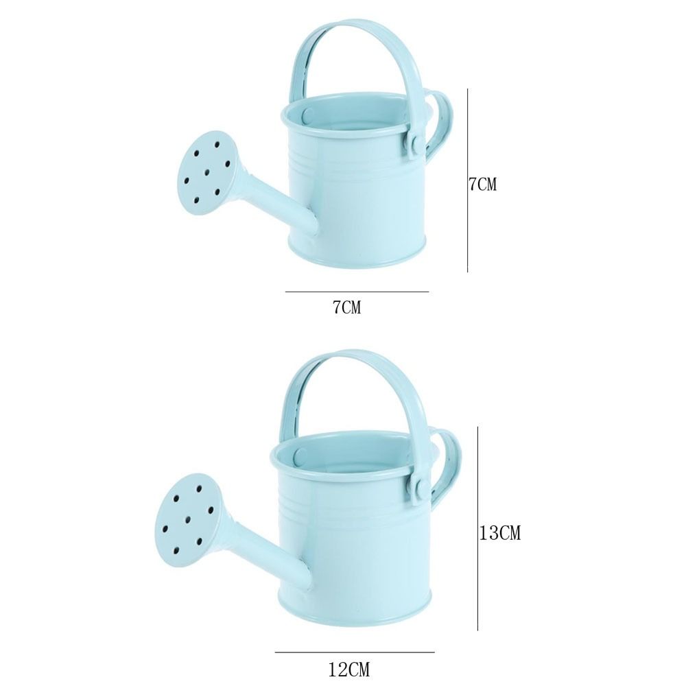 Large Capacity Mini Metal Watering Can Thickened Sprinkler Durable Water Spraying Pot  Gardening