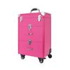 Universal Brake Wheel Trolley: Multi-Layer Large Nail & Tattoo Storage Makeup Box