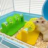 Interactive Rotating Bell Ball Boredom Relief Cage Enrichment Accessory Hamster Toy  Guinea Pig