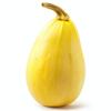 15 Spaghetti Squash Seeds