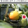 Sosuke Yamashitaya Ichida Persimmon 800g Made In Nagano Dried Persimmon Domestic Japanese Sweets Sweets Dried Fruit Sweets Snack Souvenir Gift Present
