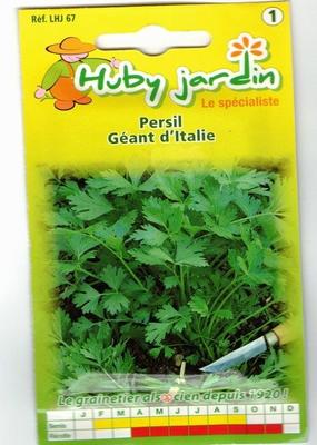 Graines de Persil commun Géant d'Italie
