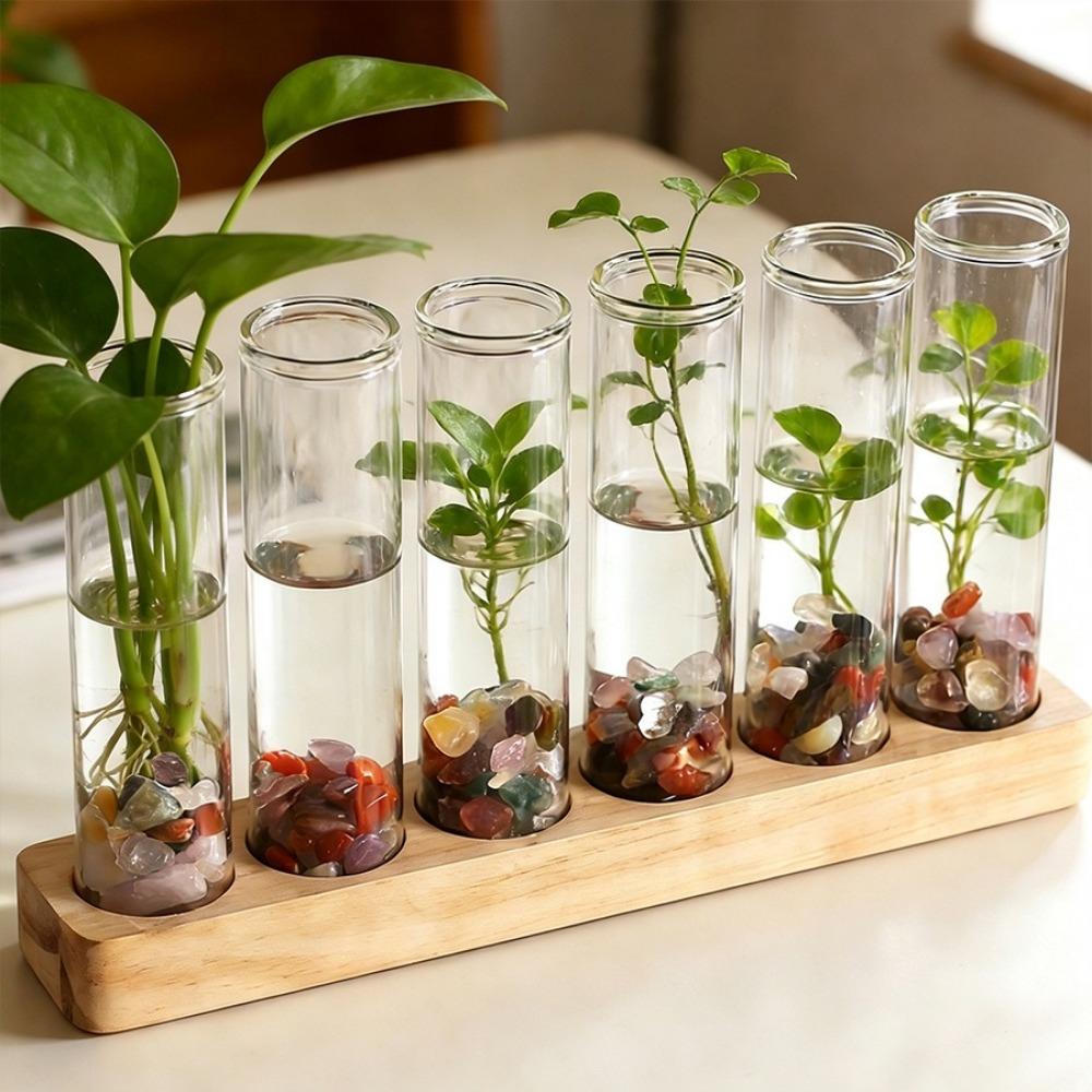 Home Decoration Hydroponic Flower Vase Minimalist Hydroponic Flowerpot Tabletop Display