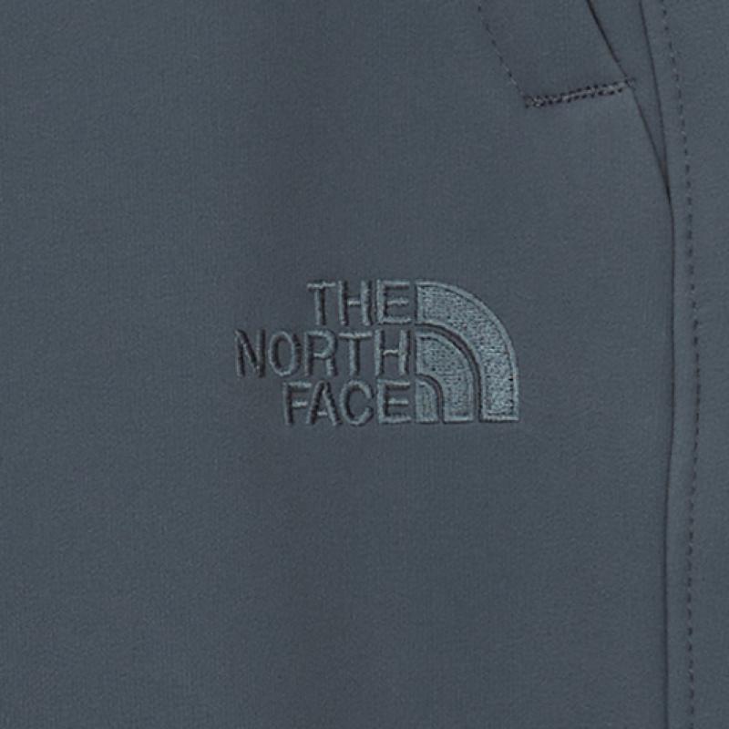 The North Face Мужские штаны Gore Divine Dgy