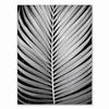 Canvas Painting Home Decor Nordic Black White Heart Palm Leaf Feather Pictures Prints Wall Art Poster For Living Room Modular No Frame