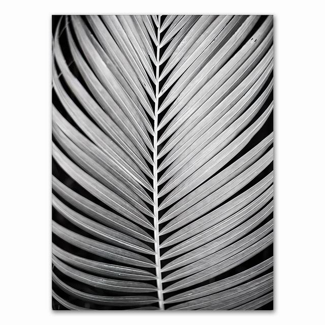 Canvas Painting Home Decor Nordic Black White Heart Palm Leaf Feather Pictures Prints Wall Art Poster For Living Room Modular No Frame