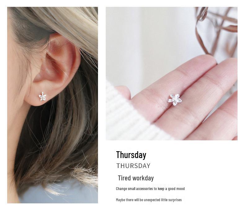 S925 Silver Stud Earrings Gift Set for Her - Perfect for Christmas, Birthday, or Special Occasion