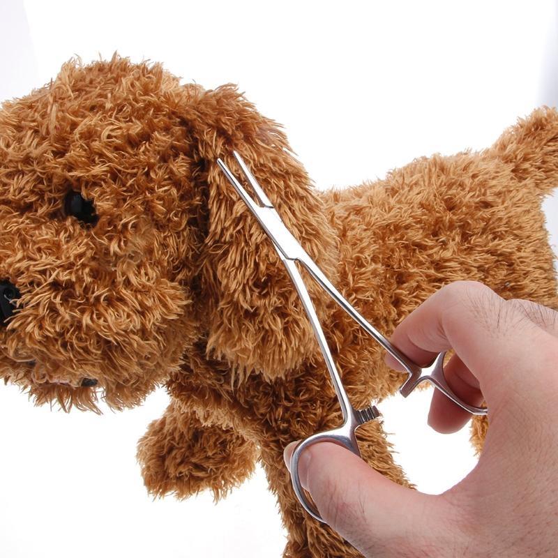 5.5" Pet Hair Scissors for Cat Gromming Scissors Flat Tip Stainless Steel Scissors Dog for Cat Hair Cutting Trimming Sci
