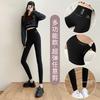 Shark Pants Wear High Waist, Belly and Hip Barbie Pants, Summer Thin Anti-light Yoga Cycling Leggings