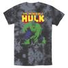 Summer New Boy  Movie Character Incredible Hulk Transformation Kids/Adult T-Shirt Printed Crew Neck Casual Short Sleeve