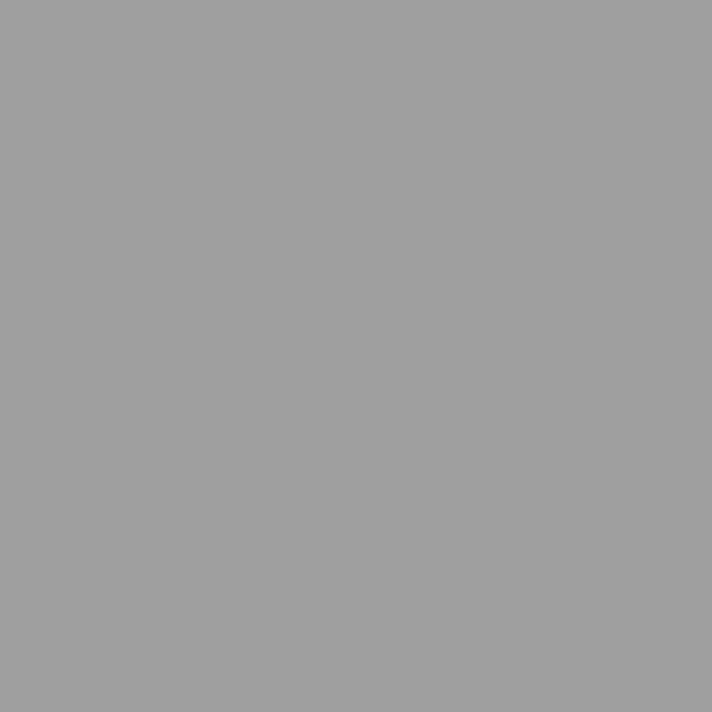 1 Ton Waste Bin Enclosure Gray 72 x 81 x 115 cm Steel
