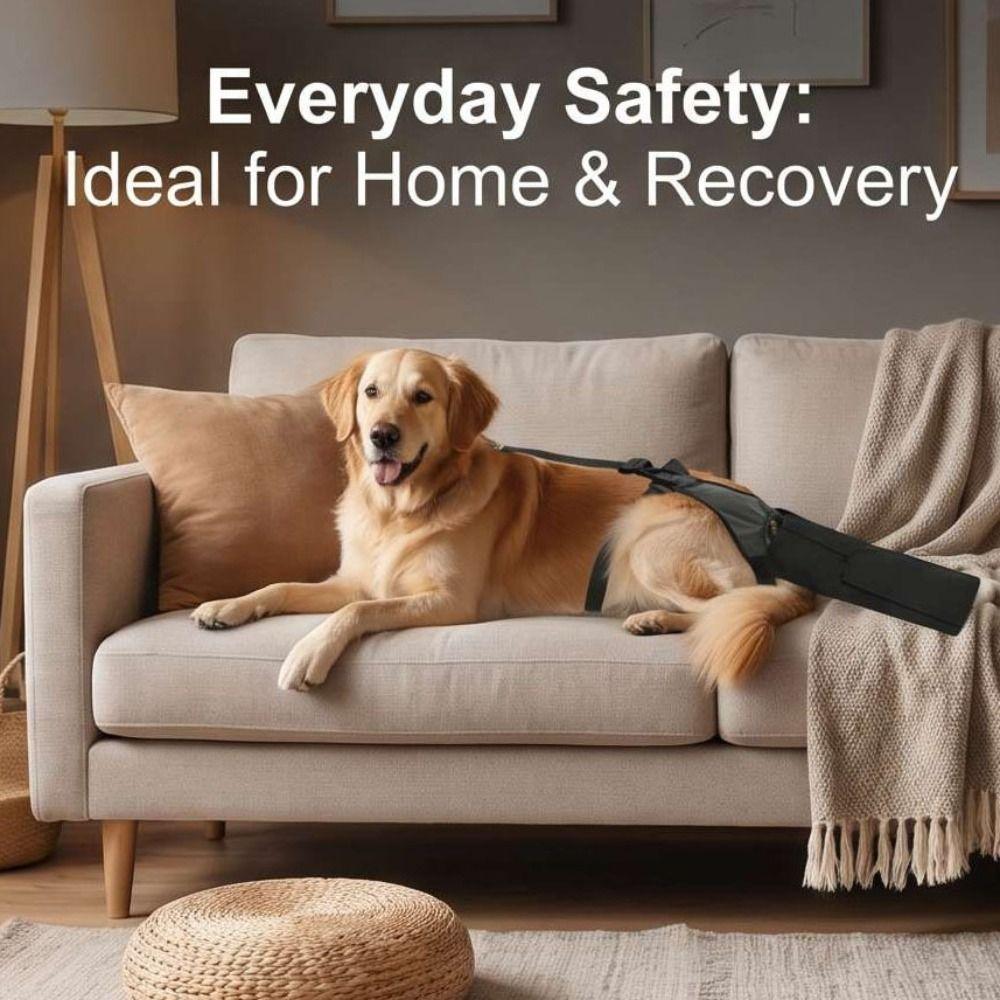 Breathable Dog Tail Protector Splash-proof Protective Case Protective Cover Licking Prevention