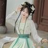 Chinese Song Dynasty Style Hanfu Women's Wear Daily Pleated Skirt Set