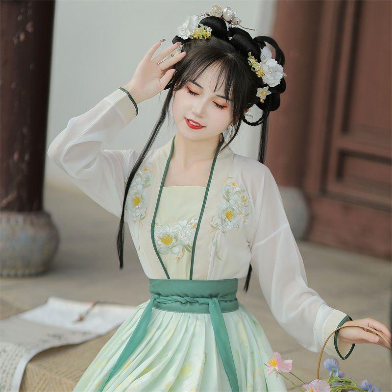 Chinese Song Dynasty Style Hanfu Women's Wear Daily Pleated Skirt Set