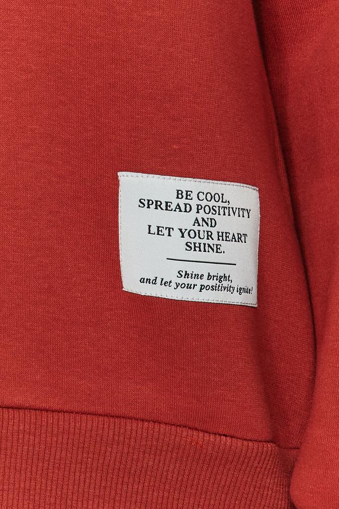 Women's Fashionable Stylish Sweatshirt Light Stone Label Detailed Regular Crew Neck Knitted Sweatshirt