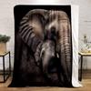 Elephant Mother And Baby Print Blanket bedroom Blanket for Livingroom Couch lunch break Soft throw for Friend's festival Gift