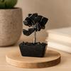 Black Agate Gemstone Tree Orgonite Base 15 Gemstones