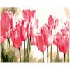 DIY Paint Tulips Digital DIY Painting Acrylic Paint Home Decoration Tulips
