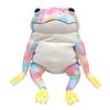 Shinada Global Mochi Series Mochikaeru Rainbow (L) 22 X 22 X 30cm Plush Frog Animal MOKR-0350R