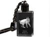 Japanese Bobtail - Crystal Pendant with Cat Photo, Illuminated Pendant, Unique Gift by Brand