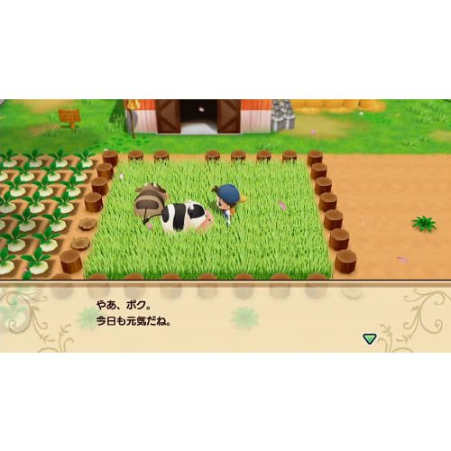 harvest moon: mineral town reunion - ps4