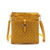 Designer Casual Shoulder Bag Ladies Hollow Crossbody Bags for Women Flap Clutch Purse
