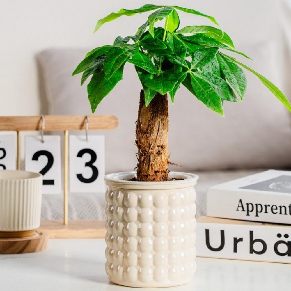 Removable Hydroponic Plants Pot Self Watering Office Bonsai Decor New Flowerpot