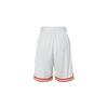Nike Баскетбольные шорты мужские Summit White FN2652-121